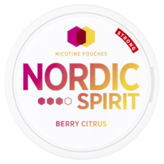 Picture of Nordic Spirit Berry Citrus Pouch Strong 20s x5